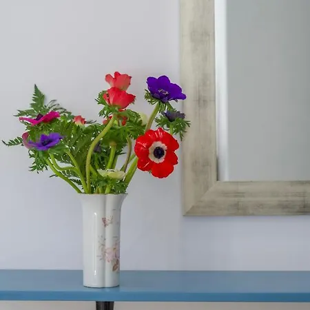 Bed & Breakfast Porto Di