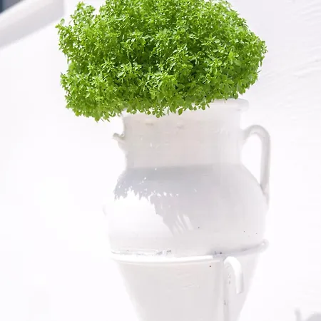 Porto Di Bed & Breakfast Parikia (Paros)