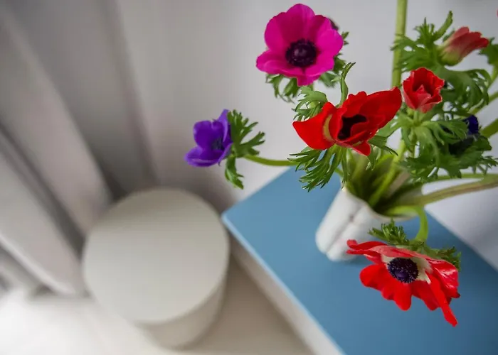 Porto Di Bed & Breakfast Paro