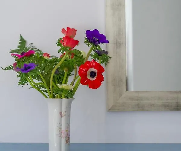 Bed & Breakfast Porto Di