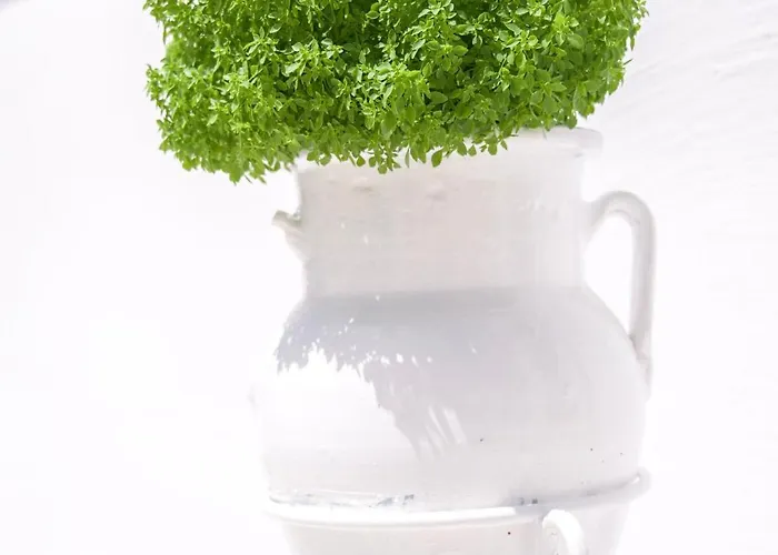 Porto Di Bed & Breakfast Paro